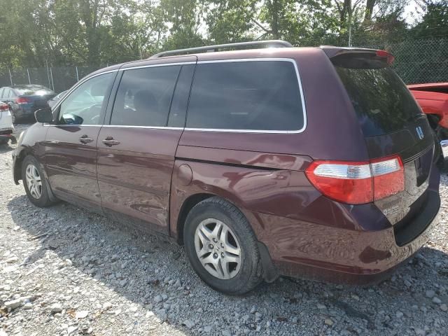 2007 Honda Odyssey EXL