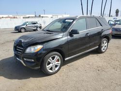 Mercedes-Benz salvage cars for sale: 2013 Mercedes-Benz ML 350