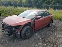 Salvage cars for sale at Baltimore, MD auction: 2020 Honda Civic LX