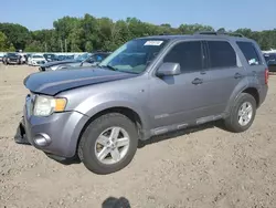 Carros con título limpio a la venta en subasta: 2008 Ford Escape HEV