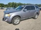 2008 Ford Escape HEV