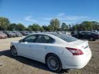 2010 Nissan Maxima S