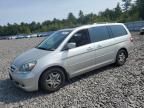 2006 Honda Odyssey EXL