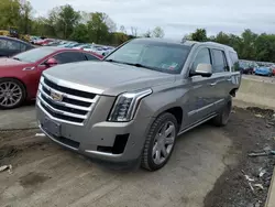 Carros con verificación Run & Drive a la venta en subasta: 2017 Cadillac Escalade Premium Luxury