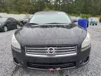 2011 Nissan Maxima S