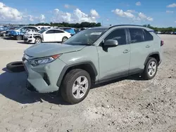 Salvage cars for sale at West Palm Beach, FL auction: 2020 Toyota Rav4 XLE