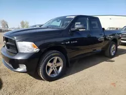 Dodge salvage cars for sale: 2009 Dodge RAM 1500