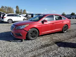 2017 Hyundai Sonata SE en venta en Arlington, WA