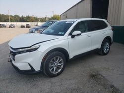 2024 Honda CR-V EXL en venta en Angola, NY