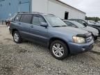 2006 Toyota Highlander Hybrid