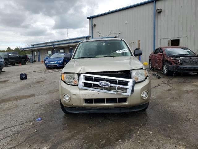 2012 Ford Escape XLT