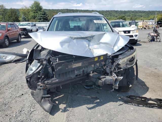 2010 Volkswagen Tiguan SE