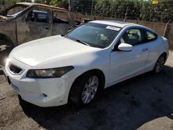 Honda salvage cars for sale: 2010 Honda Accord EXL