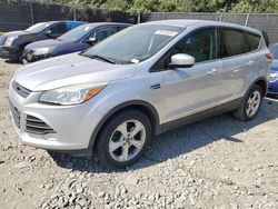 Ford salvage cars for sale: 2014 Ford Escape SE