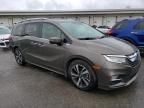 2020 Honda Odyssey Elite