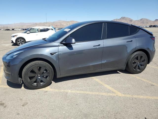 2020 Tesla Model Y