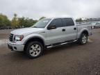 2009 Ford F150 Supercrew