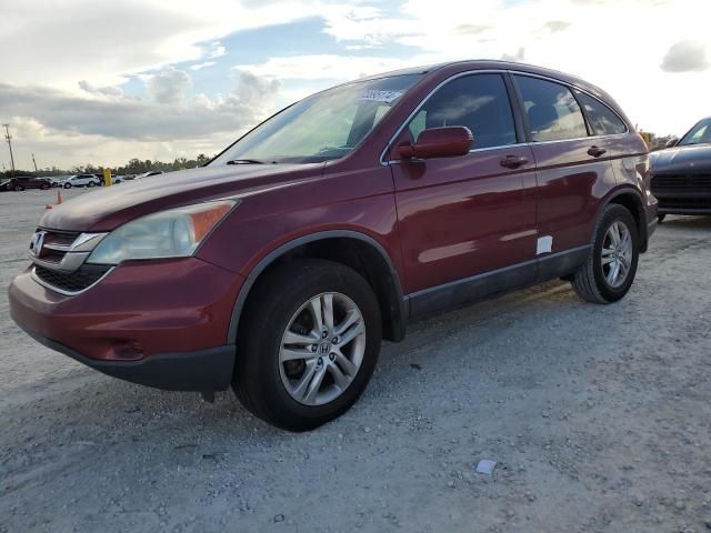 2010 Honda CR-V EXL