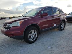 Honda salvage cars for sale: 2010 Honda CR-V EXL