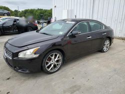 Salvage cars for sale at Windsor, NJ auction: 2010 Nissan Maxima S