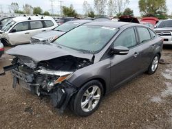 Salvage cars for sale at Elgin, IL auction: 2014 Ford Focus SE