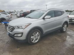 Salvage cars for sale at Indianapolis, IN auction: 2013 Hyundai Santa FE Sport