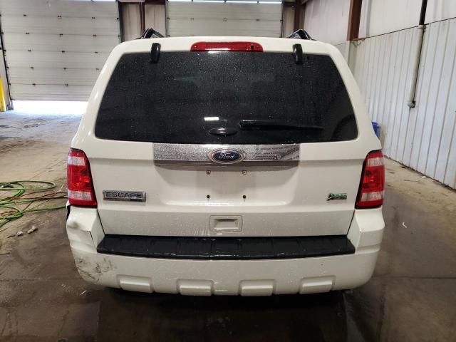 2011 Ford Escape Limited