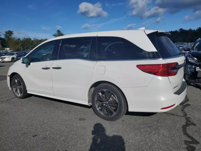 2023 Honda Odyssey Elite