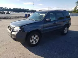 Ford salvage cars for sale: 2005 Ford Escape XLT