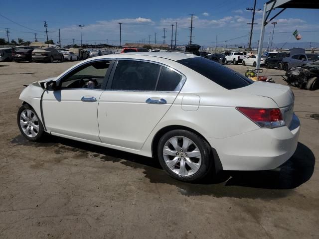 2010 Honda Accord EXL