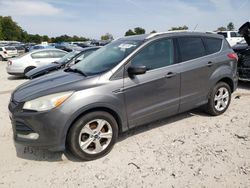 Ford salvage cars for sale: 2013 Ford Escape SE