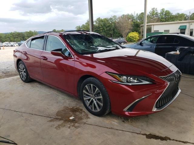 2019 Lexus ES 350