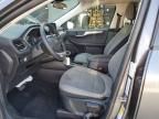 2021 Ford 2022 Ford Escape SE