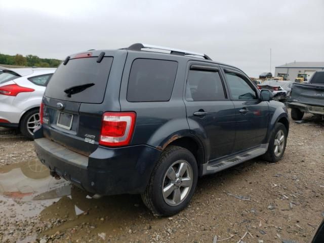 2009 Ford Escape Limited