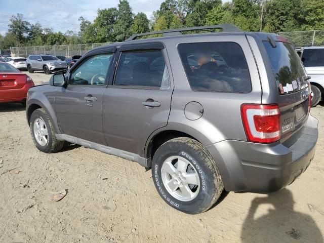 2009 Ford Escape XLT