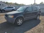 2001 Ford Escape XLT