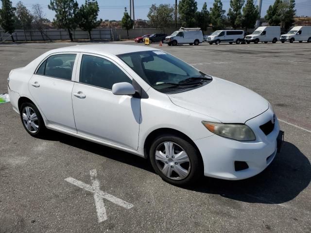 2010 Toyota Corolla Base