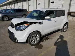 Salvage cars for sale at Louisville, KY auction: 2016 KIA Soul +