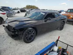 Salvage cars for sale at Taylor, TX auction: 2023 Dodge Challenger SXT