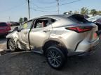 2022 Lexus NX 250