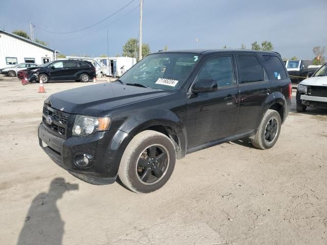 2011 Ford Escape XLT