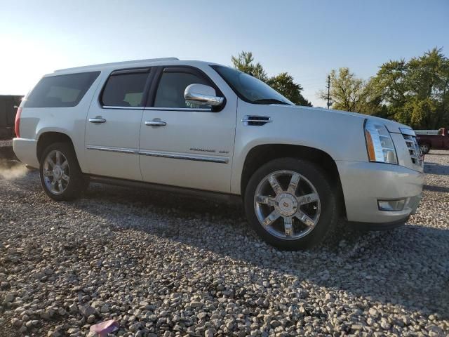 2011 Cadillac Escalade ESV Premium