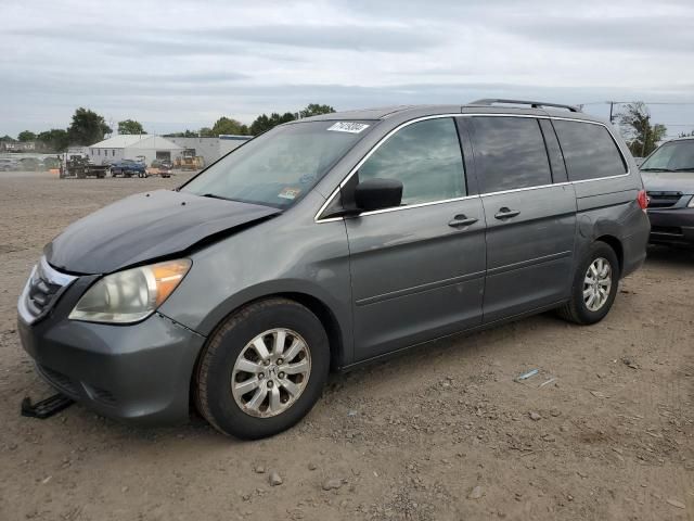 2008 Honda Odyssey EXL