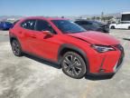 2019 Lexus UX 200