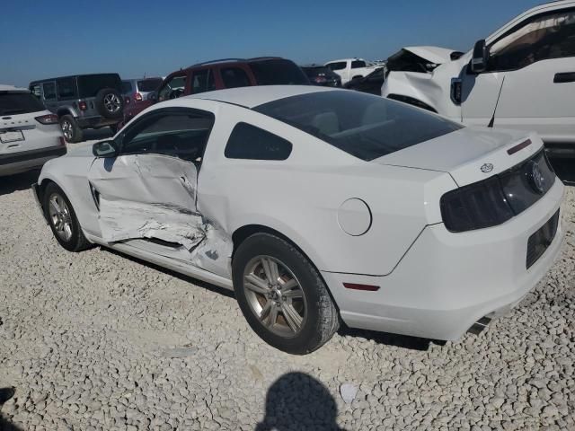 2014 Ford Mustang