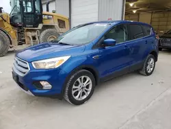 Salvage cars for sale at Columbia, MO auction: 2017 Ford Escape SE