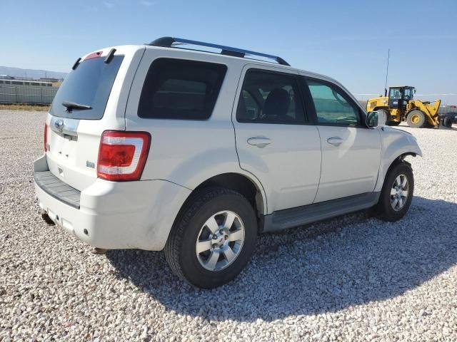 2010 Ford Escape Limited