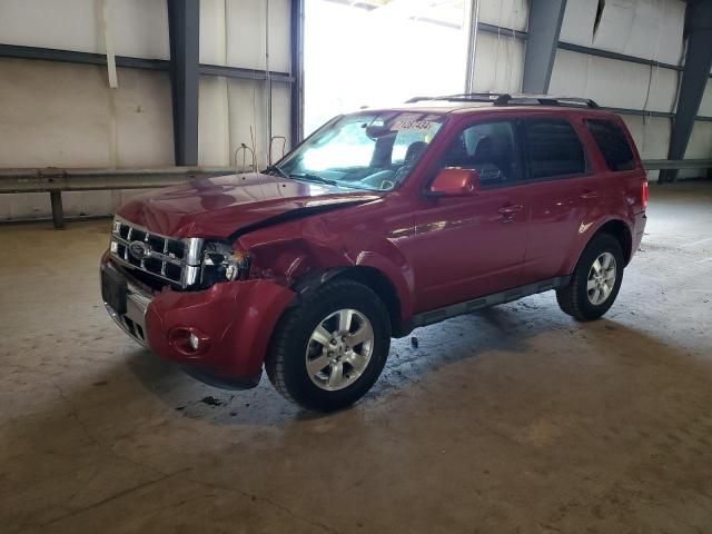 2011 Ford Escape Limited