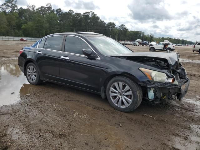 2011 Honda Accord EXL