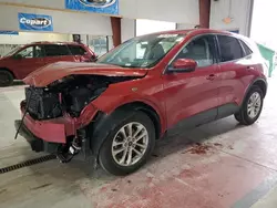 Ford salvage cars for sale: 2020 Ford Escape SE